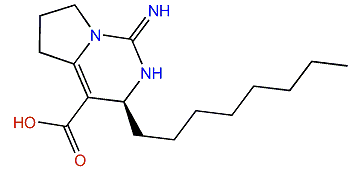 Monanchoradin B